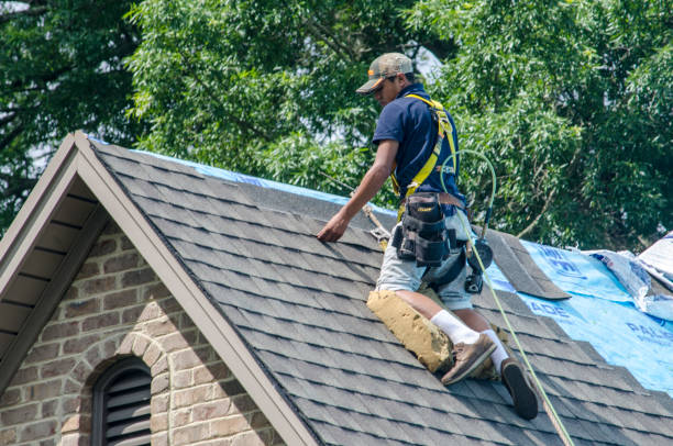Quick and Trustworthy Emergency Roof Repair Services in Unicoi, TN