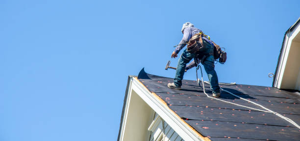 Best Local Roofing Companies  in Unicoi, TN
